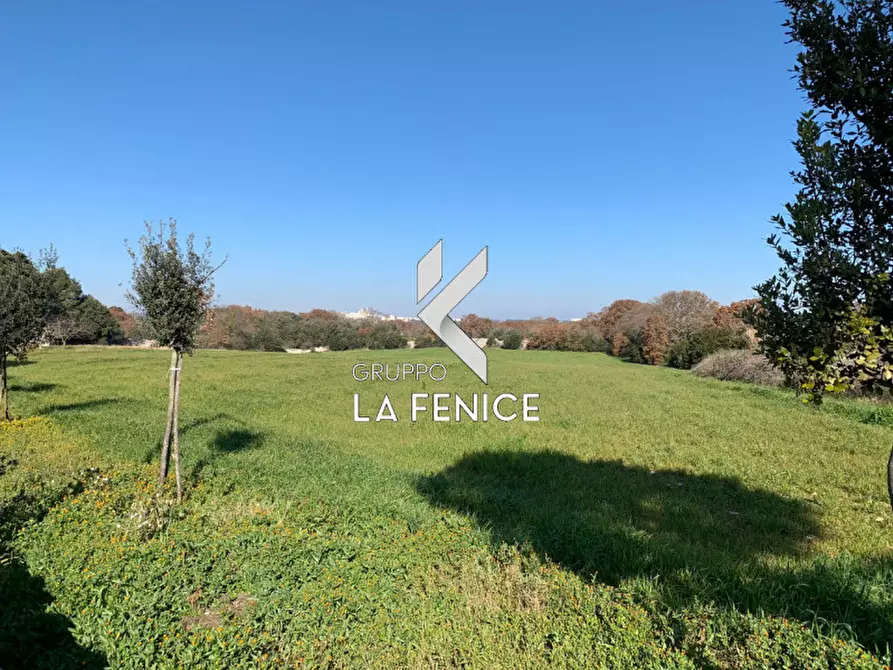 Immagine 15 di Rustico / casale in vendita  in c.da Difesa a Locorotondo