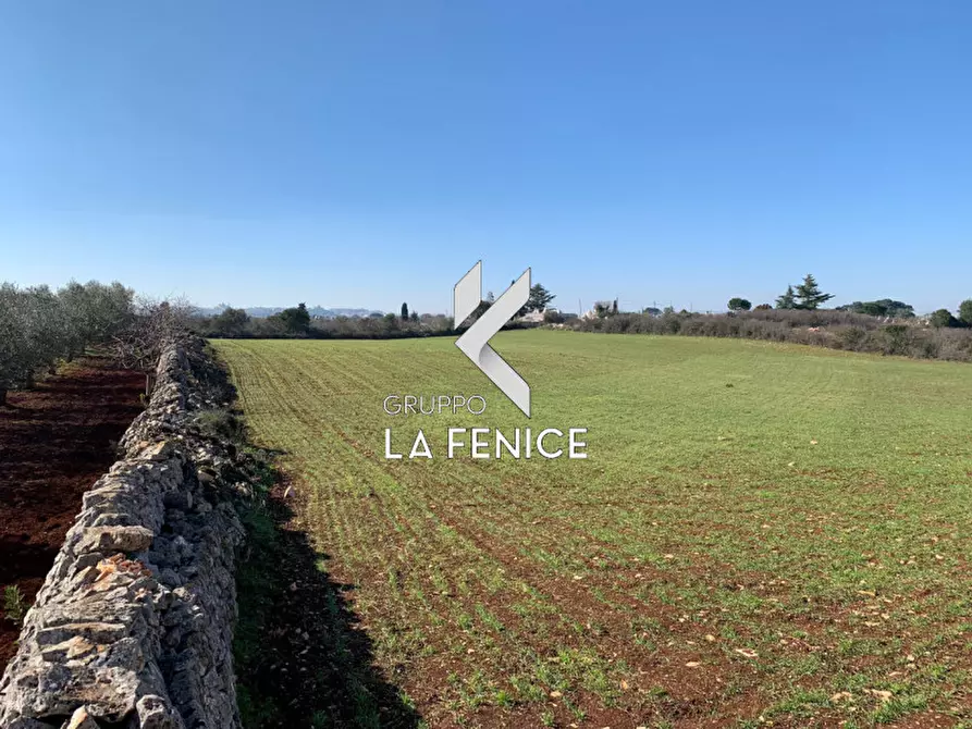 Immagine 16 di Rustico / casale in vendita  in c.da Difesa a Locorotondo