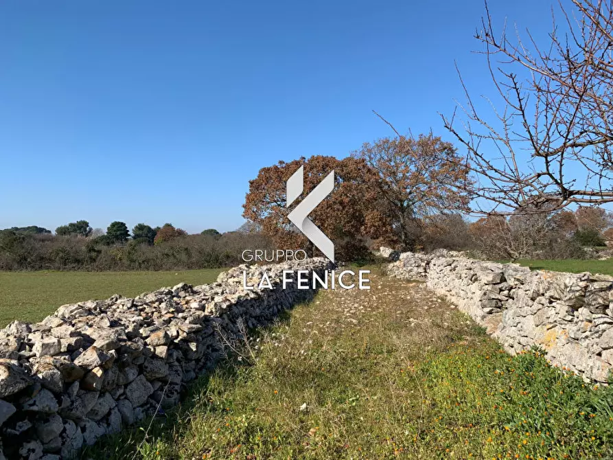 Immagine 17 di Rustico / casale in vendita  in c.da Difesa a Locorotondo