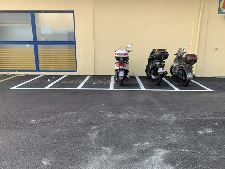 Immagine 24 di Magazzino in vendita  in Via del Destriero 6 a Trieste