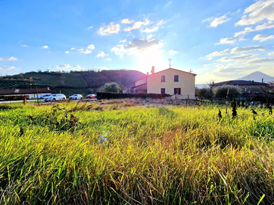 Immagine 1 di Terreno in vendita  in VIA MANTOVANE a Cinto Euganeo