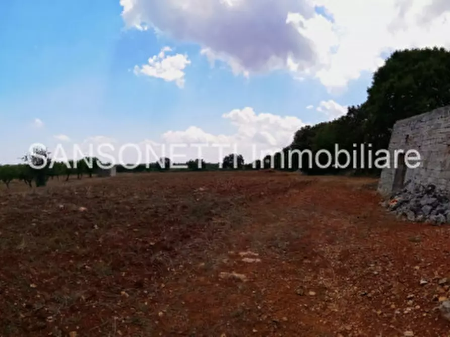 Immagine 11 di Terreno in vendita  in MYZ a Alberobello
