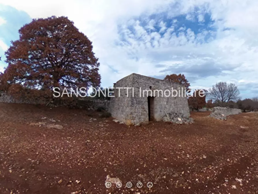 Immagine 21 di Terreno in vendita  in MYZ a Alberobello