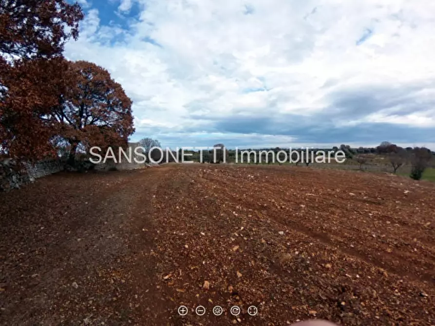 Immagine 23 di Terreno in vendita  in MYZ a Alberobello