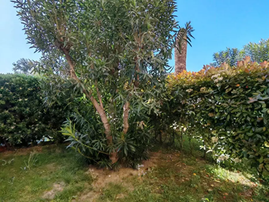 Immagine 9 di Appartamento in vendita  in via degli amici a Bordighera