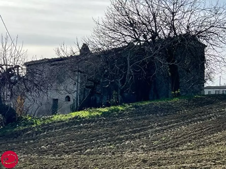 Immagine 5 di Rustico / casale in vendita  a Borghi
