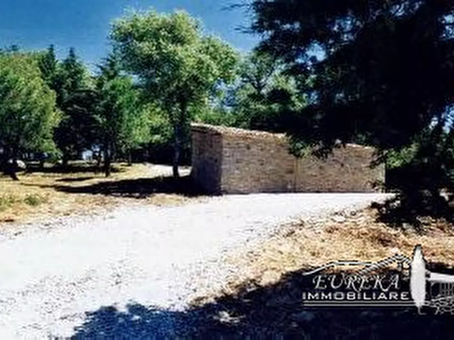 Immagine 3 di Attività commerciale in vendita  in località Vignaie a Piegaro