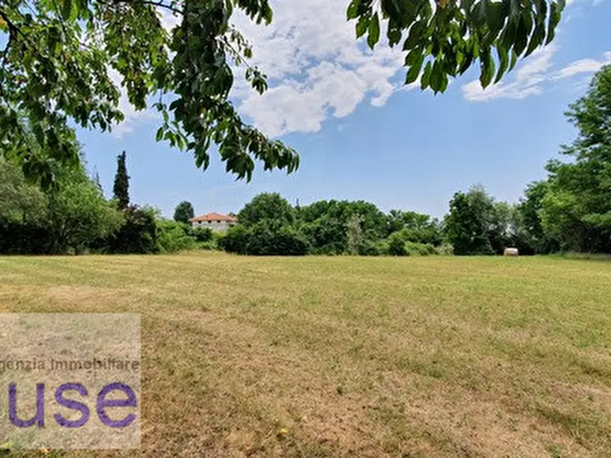 Immagine 2 di Terreno in vendita  a Cossato
