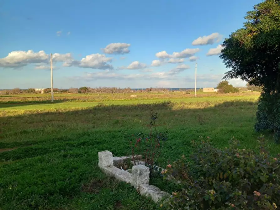 Immagine 3 di Rustico / casale in vendita  a Carovigno