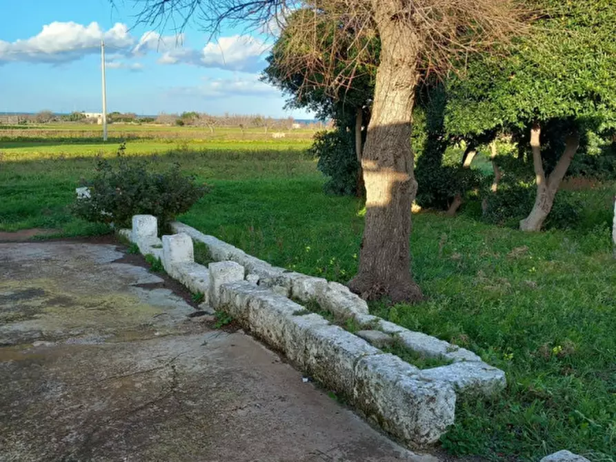 Immagine 5 di Rustico / casale in vendita  a Carovigno