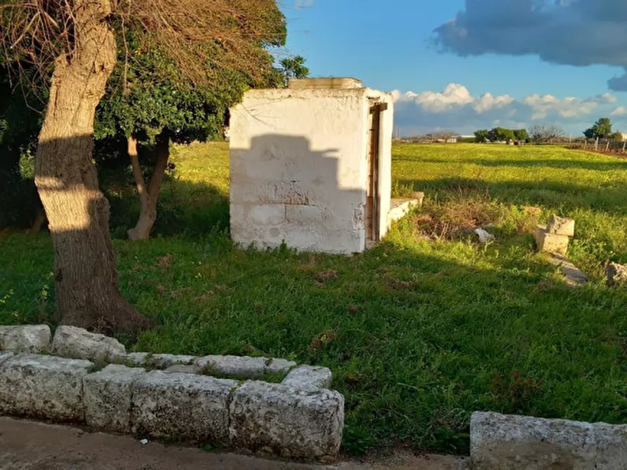 Immagine 6 di Rustico / casale in vendita  a Carovigno
