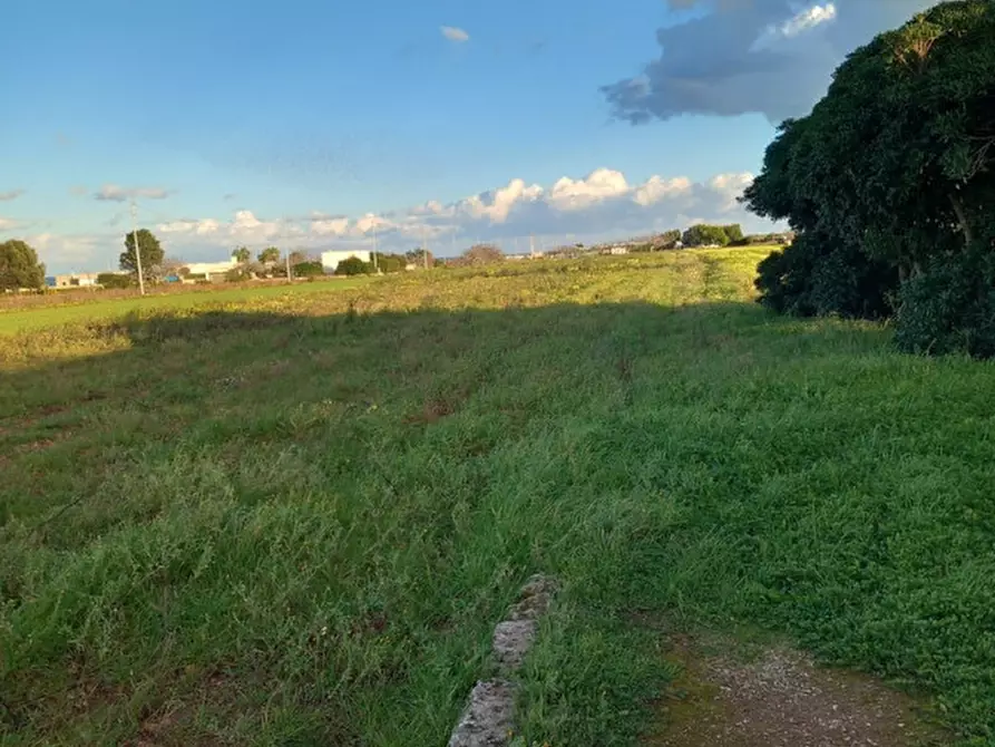 Immagine 9 di Rustico / casale in vendita  a Carovigno