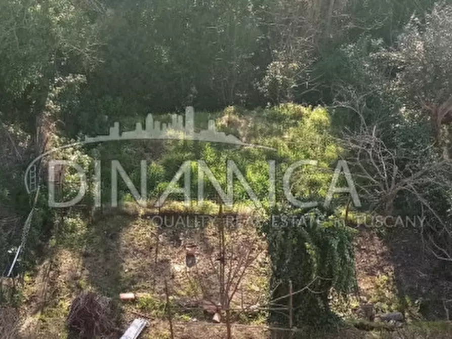 Immagine 7 di Appartamento in vendita  a Palaia