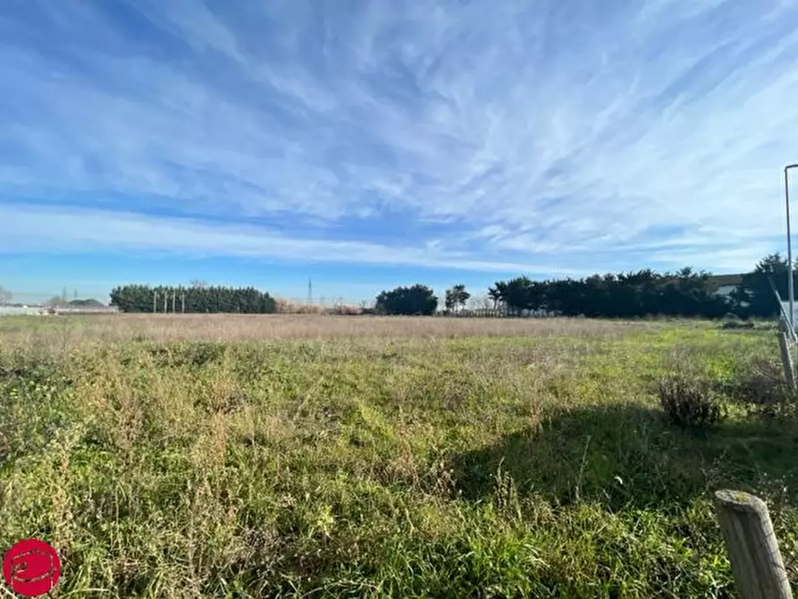 Immagine 2 di Terreno in vendita  a Longiano
