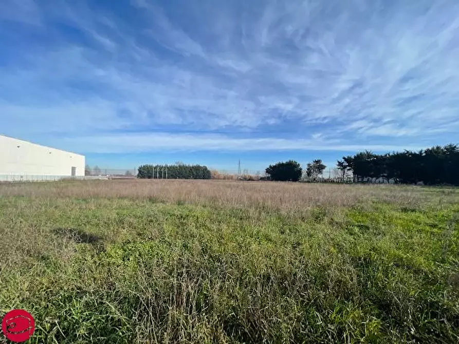 Immagine 3 di Terreno in vendita  a Longiano