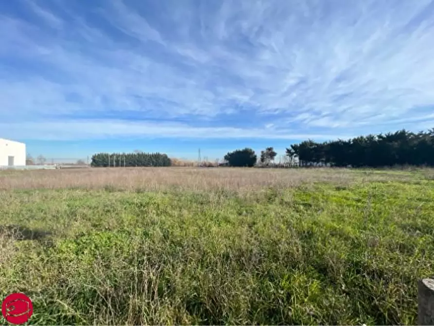 Immagine 4 di Terreno in vendita  a Longiano