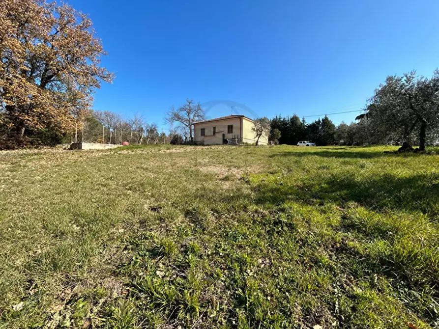 Immagine 1 di Rustico / casale in vendita  in Strada di Collabramo, 24 a Narni