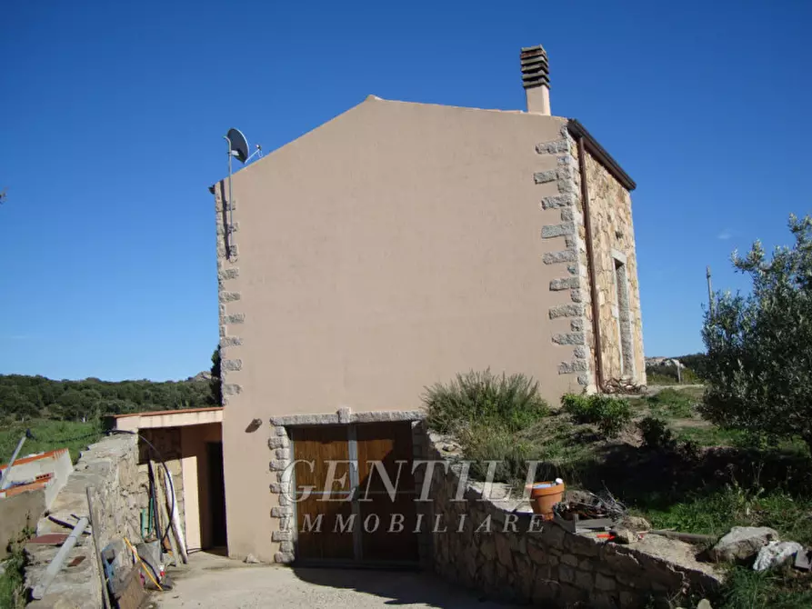 Immagine 3 di Terreno in vendita  a Calangianus