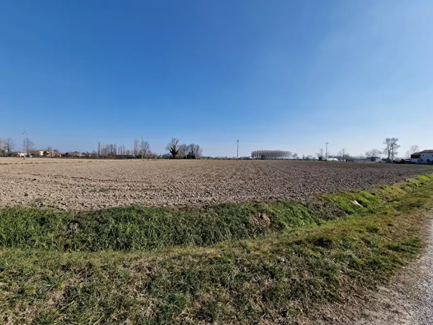 Immagine 3 di Terreno in vendita  in VIA MONTEGRAPPA a Megliadino San Vitale