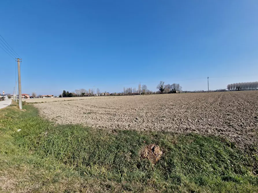 Immagine 4 di Terreno in vendita  in VIA MONTEGRAPPA a Megliadino San Vitale
