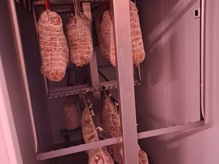 Immagine 8 di Laboratorio in affitto  in Via Padova a Cartura