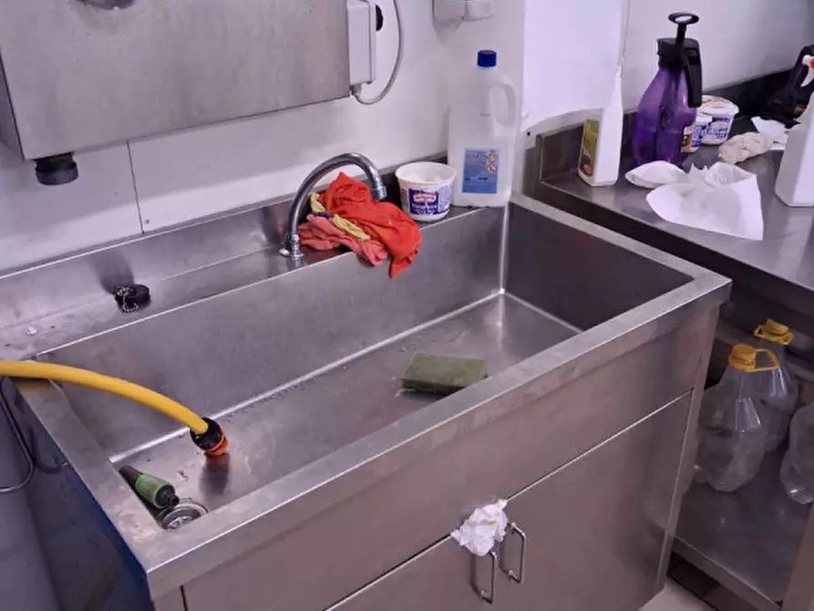 Immagine 9 di Laboratorio in affitto  in Via Padova a Cartura