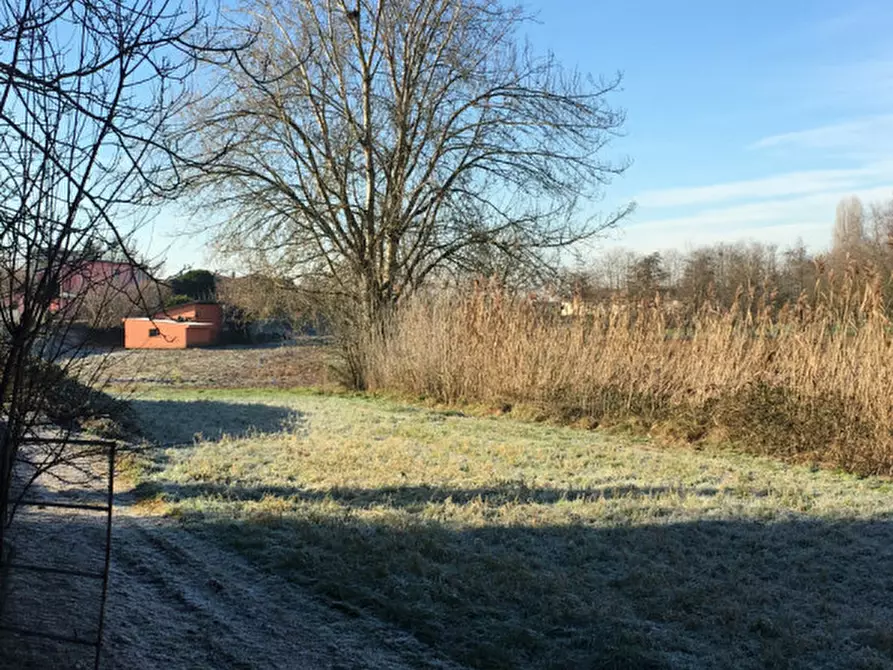 Immagine 2 di Terreno in vendita  a Suzzara