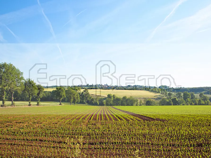 Immagine 3 di Terreno in vendita  in Lungargine Donati a Padova