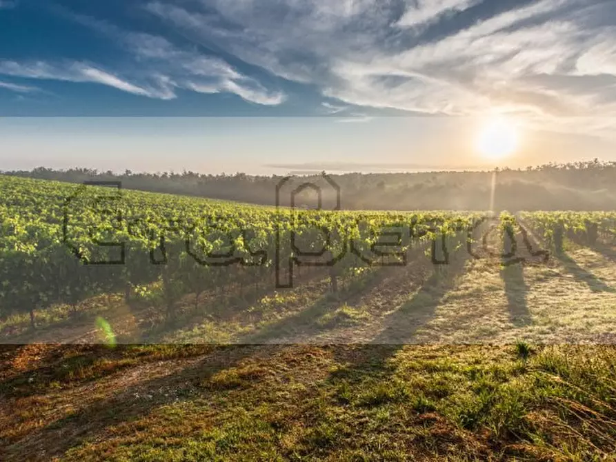 Immagine 4 di Terreno in vendita  in Lungargine Donati a Padova