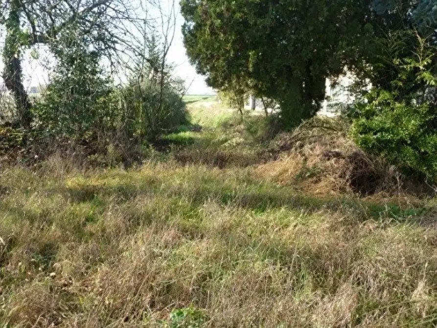 Immagine 6 di Casa indipendente in vendita  in Vicolo San Sisto, 4 a Ravenna
