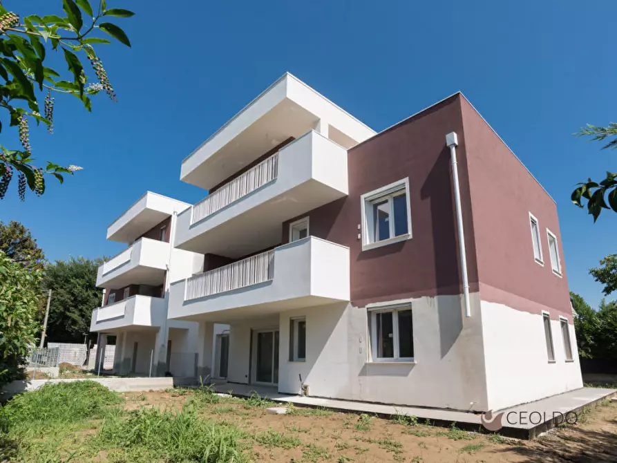 Immagine 5 di Attico in vendita  in via sant'antonio a Vigonza