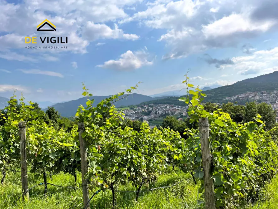 Immagine 2 di Terreno in vendita  a Trento