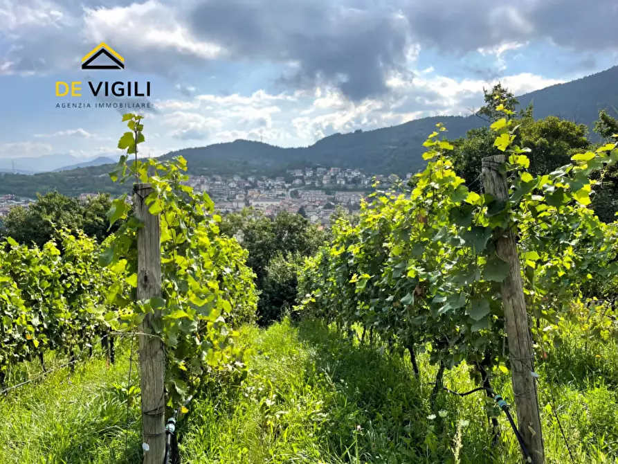 Immagine 3 di Terreno in vendita  a Trento