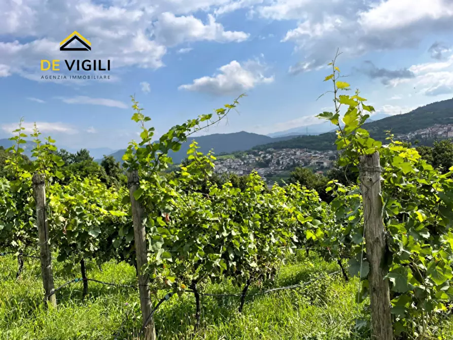 Immagine 4 di Terreno in vendita  a Trento