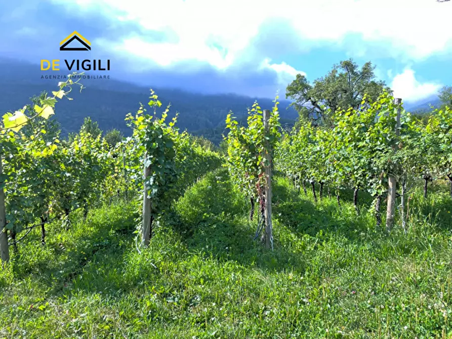 Immagine 5 di Terreno in vendita  a Trento