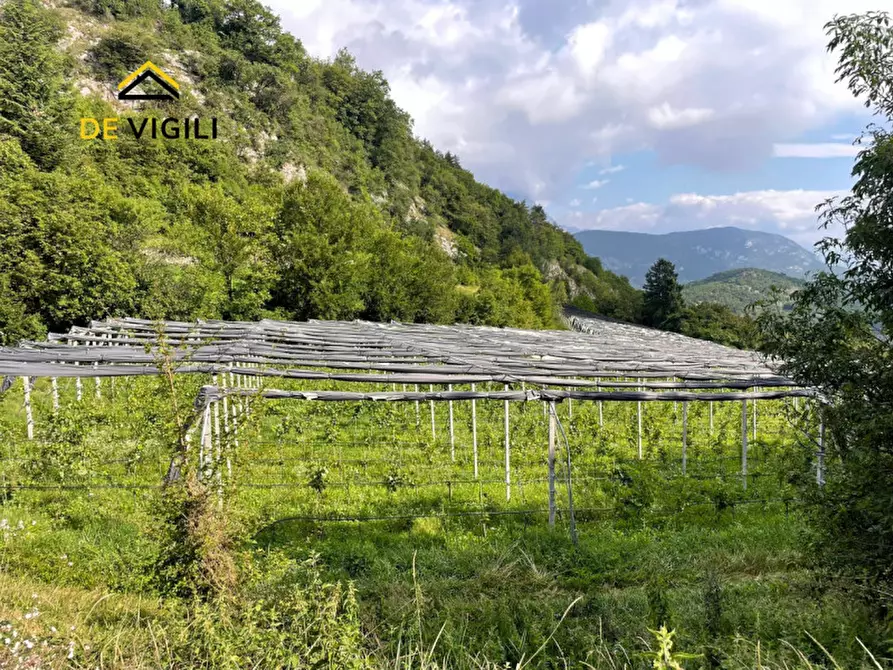 Immagine 6 di Terreno in vendita  a Trento