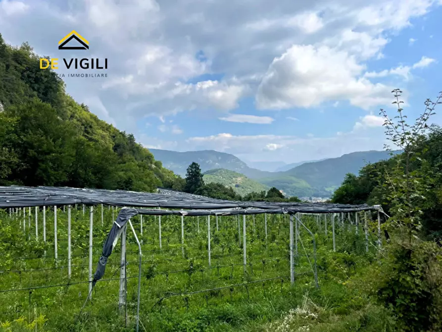Immagine 7 di Terreno in vendita  a Trento