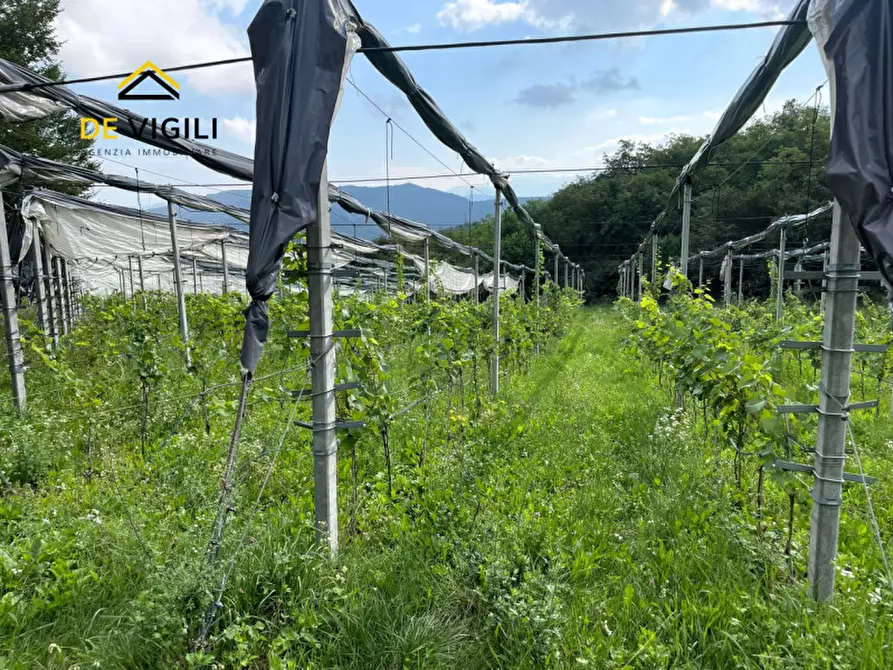 Immagine 8 di Terreno in vendita  a Trento