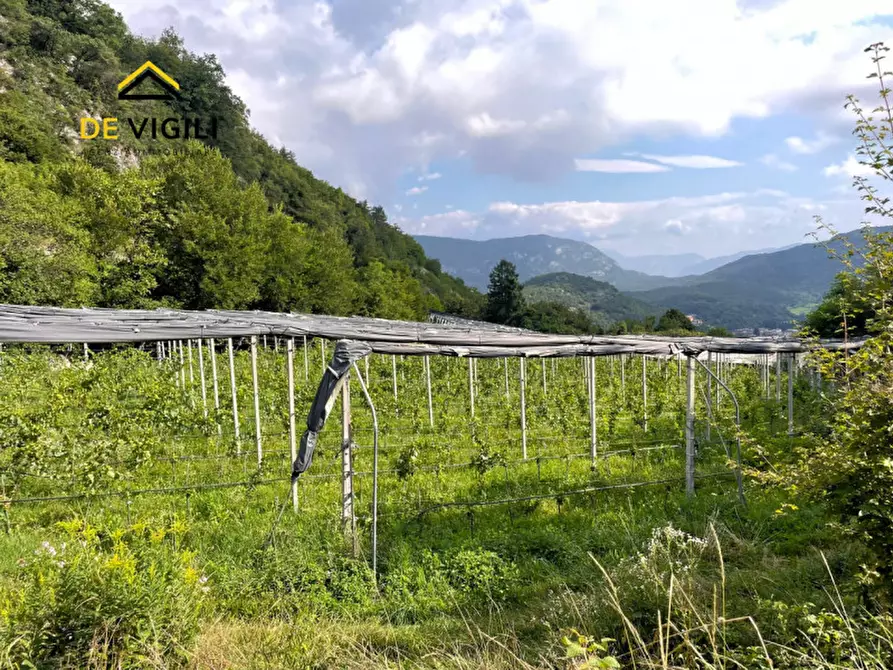 Immagine 9 di Terreno in vendita  a Trento
