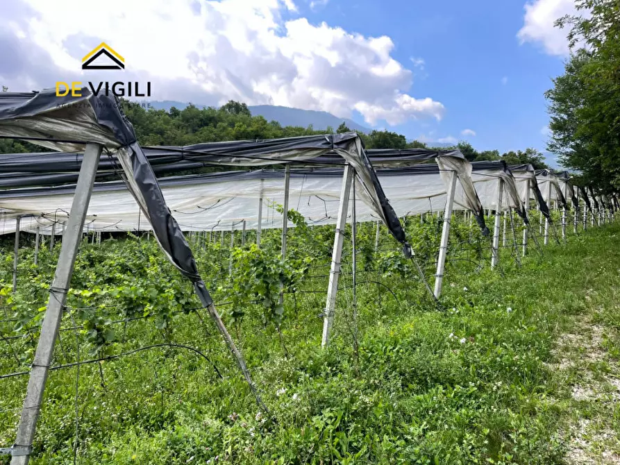 Immagine 10 di Terreno in vendita  a Trento