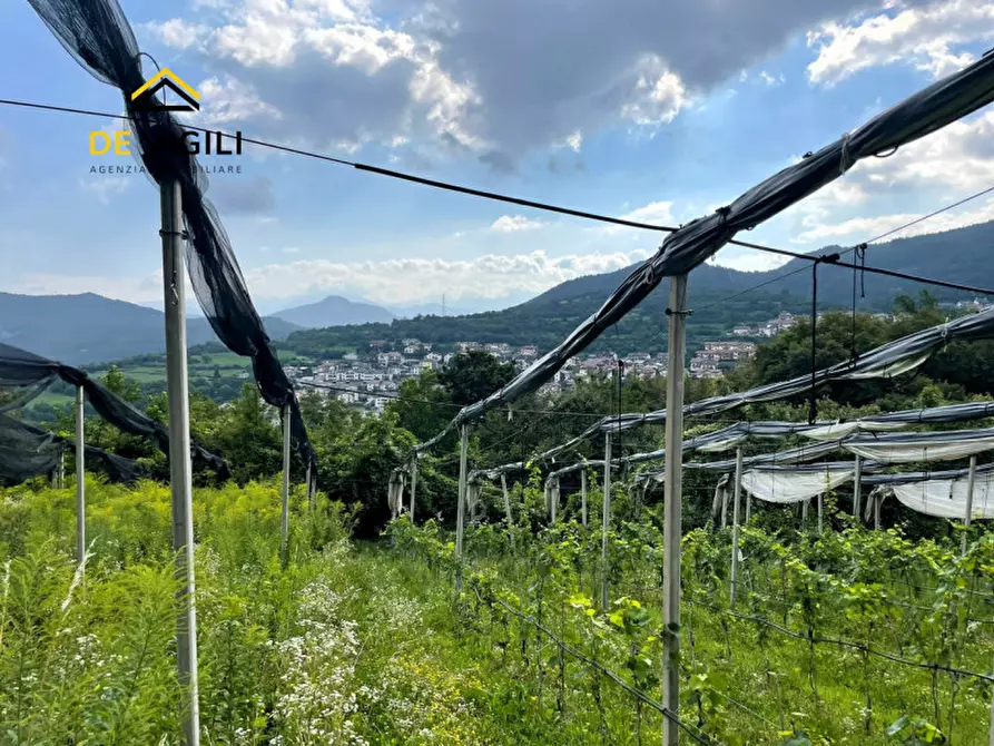 Immagine 11 di Terreno in vendita  a Trento