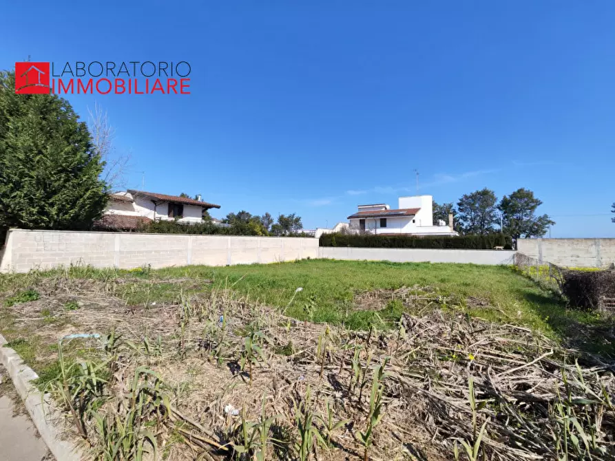 Immagine 3 di Terreno in vendita  in via Vecchia Salice a Guagnano