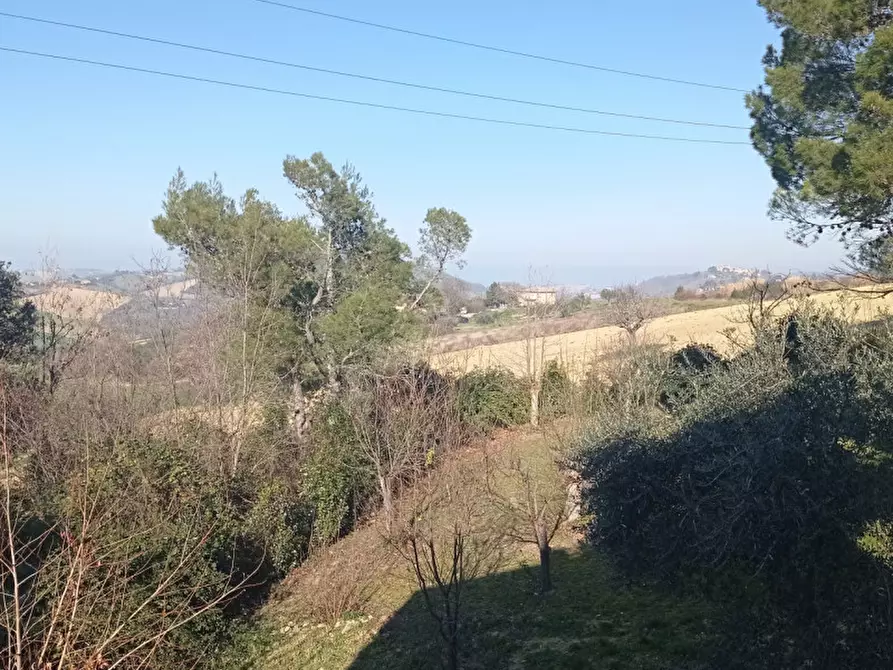 Immagine 14 di Casa bifamiliare in vendita  in via Manzoni a Agugliano