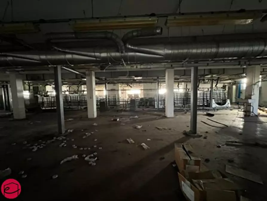 Immagine 29 di Capannone industriale in vendita  a Gatteo