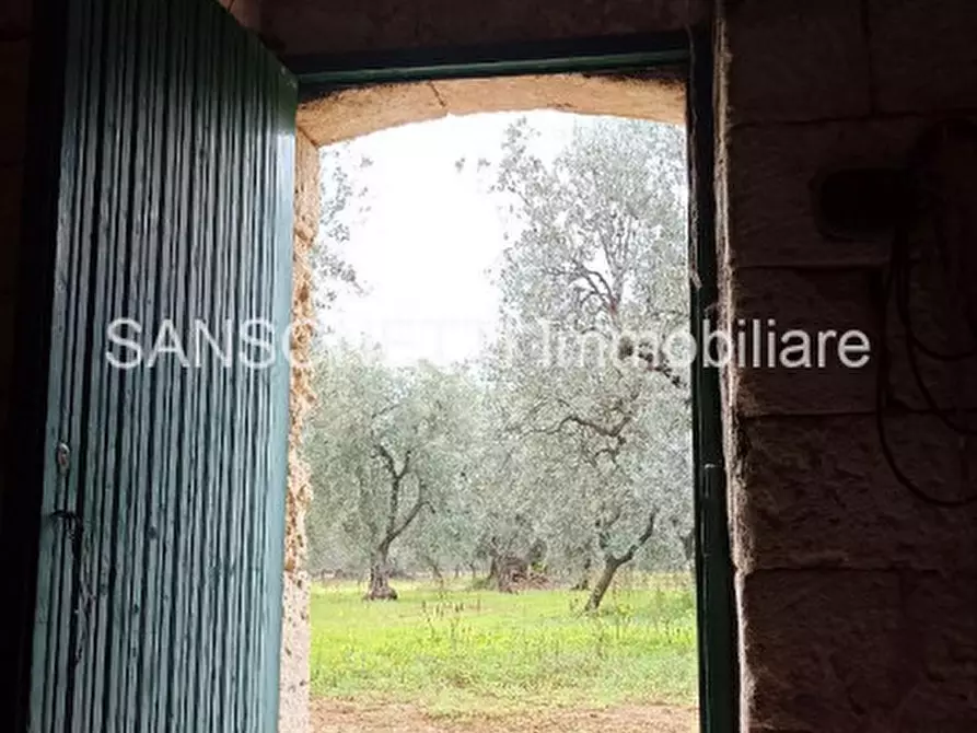 Immagine 28 di Rustico / casale in vendita  in Picolo a Fasano