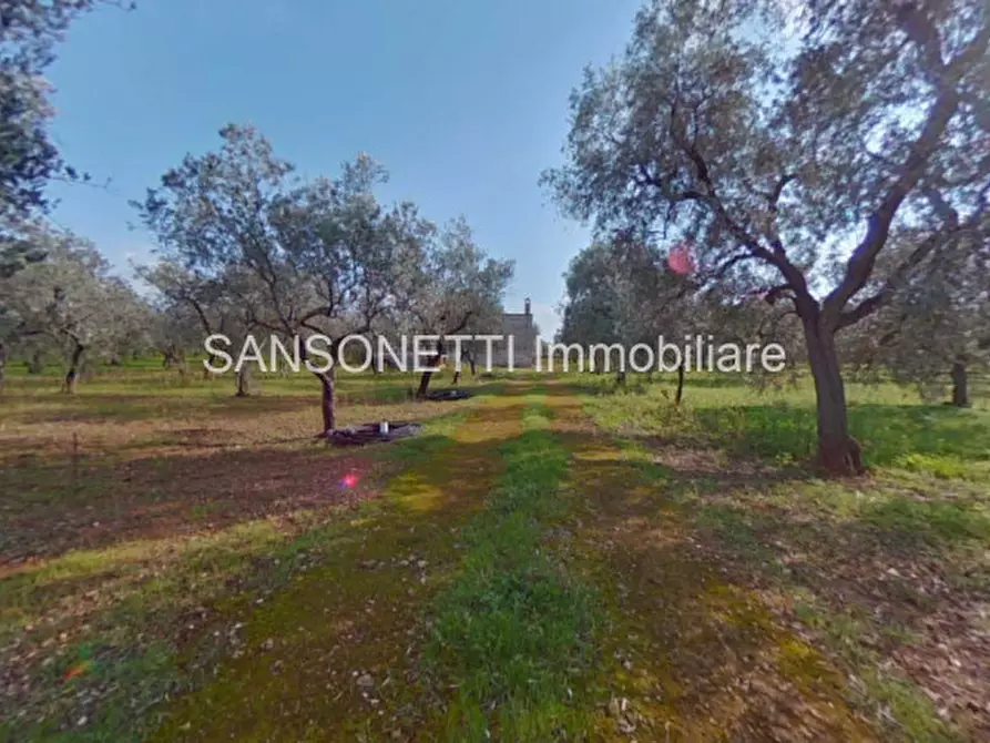 Immagine 29 di Rustico / casale in vendita  in Picolo a Fasano