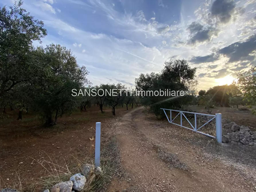 Immagine 31 di Rustico / casale in vendita  in Picolo a Fasano