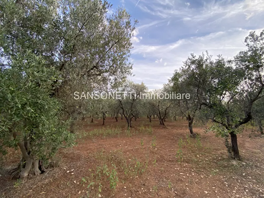 Immagine 32 di Rustico / casale in vendita  in Picolo a Fasano