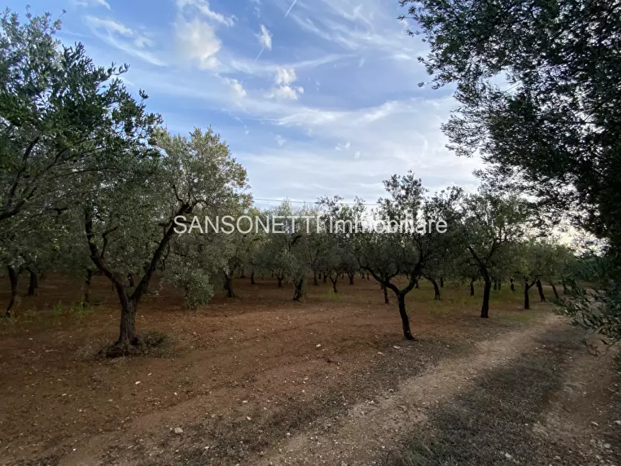 Immagine 33 di Rustico / casale in vendita  in Picolo a Fasano