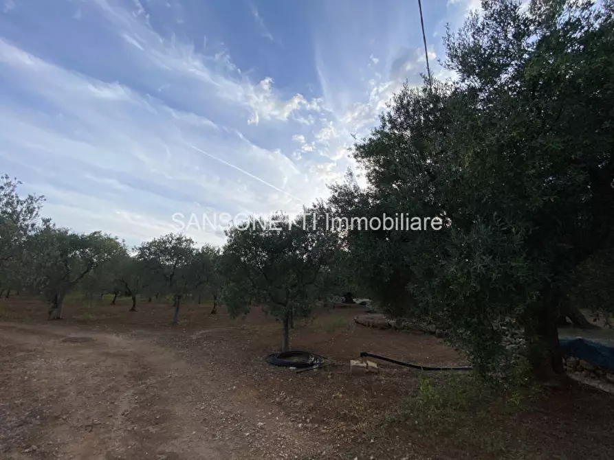Immagine 34 di Rustico / casale in vendita  in Picolo a Fasano